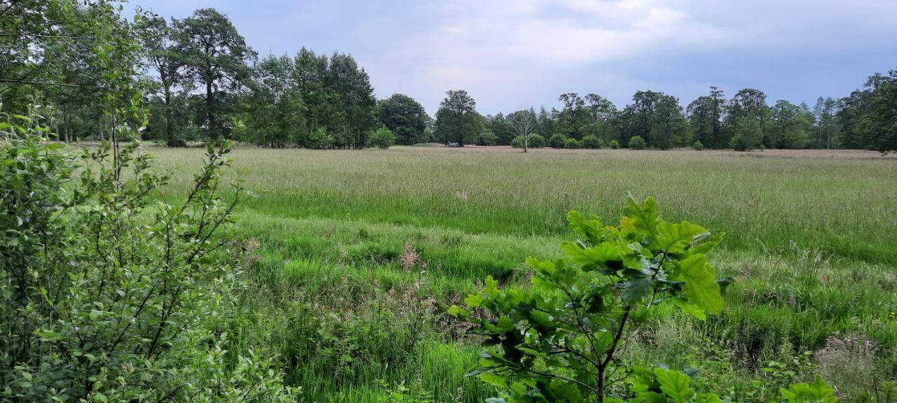 Erfgoed De Boemerang - Chalets Meppen ภายนอก รูปภาพ