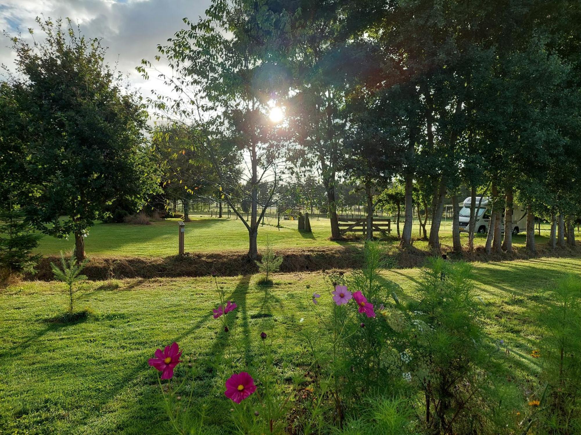 Erfgoed De Boemerang - Chalets Meppen ภายนอก รูปภาพ